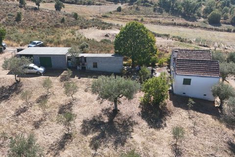 Tomt i Sobral Pichorro e Fuinhas, Guarda, Sobral Pichorro e Fuinhas - € 115 000 | Ref: C0203-02516 - foto 16