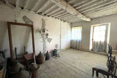 Villa i Vezza d'Alba, Cuneo, Vezza d'Alba - € 23.000 | Ref: 86338341 - foto 29