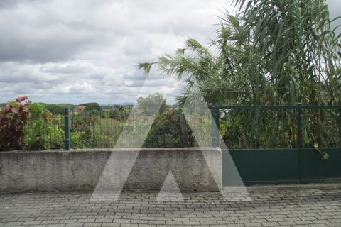 Terra a Oia, Aveiro, Oia - € 29.000 | Ref: 1051356/25 OB - foto 2