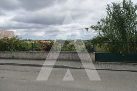 Terra a Oia, Aveiro, Oia - € 29.000 | Ref: 1051356/25 OB - foto 3