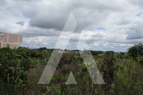 Terra a Oia, Aveiro, Oia - € 29.000 | Ref: 1051356/25 OB - foto 4
