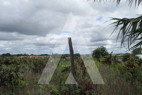 Terra a Oia, Aveiro, Oia - € 29.000 | Ref: 1051356/25 OB - foto 7