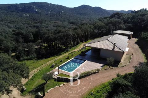 Villa a Porto-Vecchio, Corse-du-Sud, Porto-Vecchio - € 1.890.000 | Ref: RV2021 - foto 17