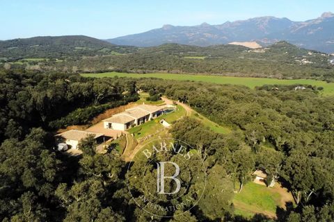 Villa a Porto-Vecchio, Corse-du-Sud, Porto-Vecchio - € 1.890.000 | Ref: RV2021 - foto 18
