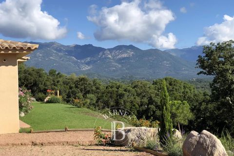Villa a Porto-Vecchio, Corse-du-Sud, Porto-Vecchio - € 1.890.000 | Ref: RV2021 - foto 5