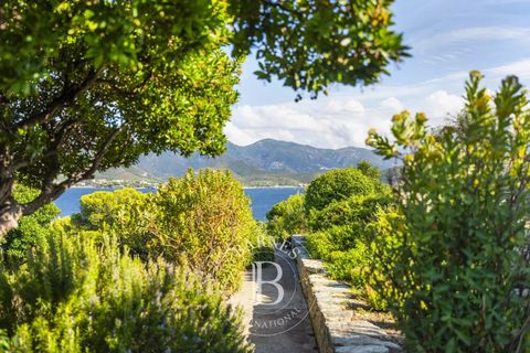 Villa i Saint-Florent, Haute-Corse, Saint-Florent - € 7.800.000 | Ref: RV1934 - foto 21