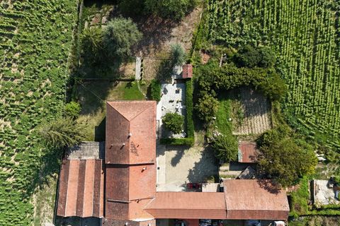 Villa a Bistagno, Alessandria, Bistagno - € 450.000 | Ref: 86338844 - foto 3