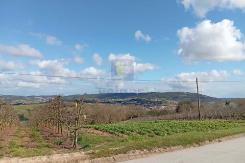 Villa i Caldas da Rainha, Leiria, Caldas da Rainha - € 75.000 | Ref: CAL-215823 - foto 3