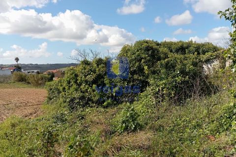 Villa i Caldas da Rainha, Leiria, Caldas da Rainha - € 75.000 | Ref: CAL-215823 - foto 8