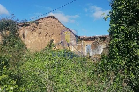 Villa i Caldas da Rainha, Leiria, Caldas da Rainha - € 75.000 | Ref: CAL-215823 - foto 9