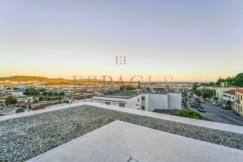 Villa i Viana do Castelo, Viana do Castelo, Viana do Castelo - € 1.120.000 | Ref: HAB_41 - foto 23