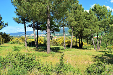 Helårsgrund i Chaves, Vila Real, Chaves - € 150.000 | Ref: C0510-00426 - foto 9