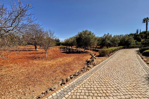 Villa i Olhao, Faro, Olhao - € 1.250.000 | Ref: C0358-01027 - foto 35