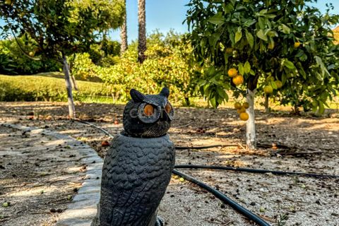 Villa i Olhao, Faro, Olhao - € 1.250.000 | Ref: C0358-01027 - foto 36