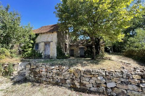 Villa a Prissac, Indre, Prissac - € 65.000 | Ref: AdB-13538 - foto 11