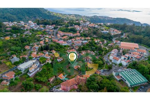 Villa i Camacha, Madeira, Camacha - € 155.000 | Ref: RHG25047 - foto 2