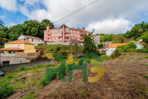 Villa i Camacha, Madeira, Camacha - € 155.000 | Ref: RHG25047 - foto 6