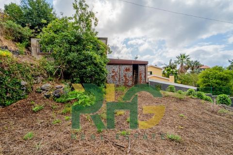 Villa i Camacha, Madeira, Camacha - € 155.000 | Ref: RHG25047 - foto 7