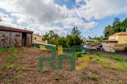 Villa i Camacha, Madeira, Camacha - € 155.000 | Ref: RHG25047 - foto 11