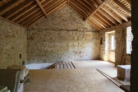 Farm i Sintra, Lisbon, Sintra - € 1.250.000 | Ref: PROP-010997 - foto 13