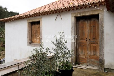 Farm i Sintra, Lisbon, Sintra - € 1.250.000 | Ref: PROP-010997 - foto 16