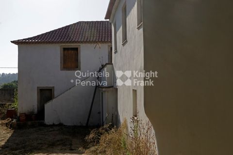 Farm i Sintra, Lisbon, Sintra - € 1.250.000 | Ref: PROP-010997 - foto 18