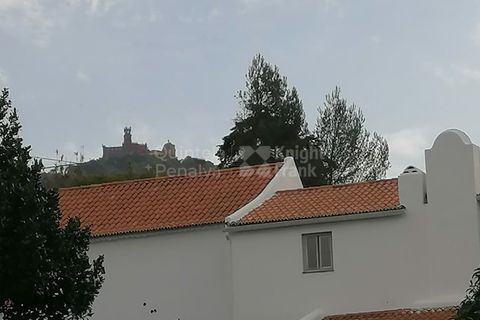 Farm i Sintra, Lisbon, Sintra - € 1.250.000 | Ref: PROP-010997 - foto 19
