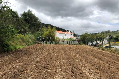 Farm i Sintra, Lisbon, Sintra - € 1.250.000 | Ref: PROP-010997 - foto 22