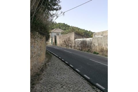 Farm i Sintra, Lisbon, Sintra - € 1.250.000 | Ref: PROP-010997 - foto 24