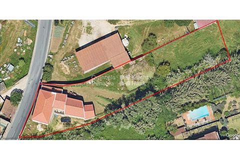 Farm i Sintra, Lisbon, Sintra - € 1.250.000 | Ref: PROP-010997 - foto 25