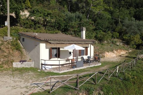 Villa i Terni, Terni, Terni - € 95 000 | Ref: CBI057-316-30390 - foto 9