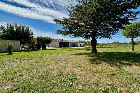 Villa i Castres, Tarn, Castres - € 349.000 | Ref: 2013736 - foto 4