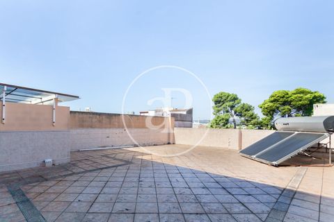 Villa i Benifaio, Valencia, Benifaio - € 500.000 | Ref: VV2510012 - foto 31
