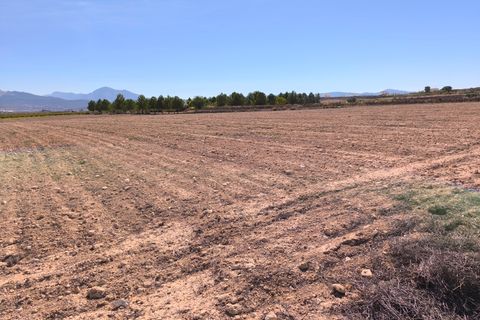 Helårsgrund i Pinoso, Alicante, Pinoso - € 145.000 | Ref: 69017 - foto 1