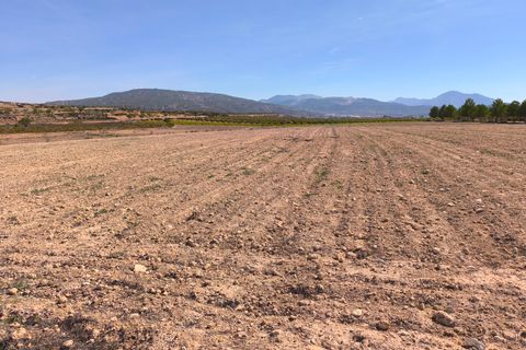 Helårsgrund i Pinoso, Alicante, Pinoso - € 145.000 | Ref: 69017 - foto 2