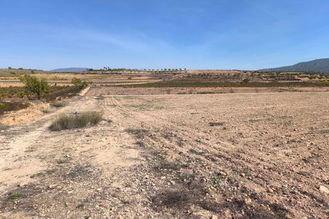 Helårsgrund i Pinoso, Alicante, Pinoso - € 145.000 | Ref: 69017 - foto 3