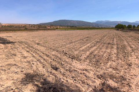 Helårsgrund i Pinoso, Alicante, Pinoso - € 145.000 | Ref: 69017 - foto 4