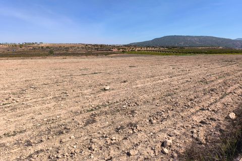 Helårsgrund i Pinoso, Alicante, Pinoso - € 145.000 | Ref: 69017 - foto 7