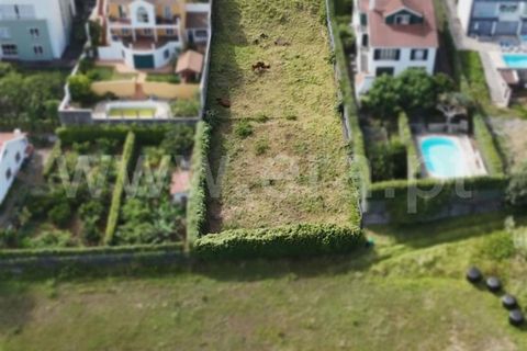 Helårsgrund i Horta, Faial, Horta - € 120.000 | Ref: 374250205 - foto 4