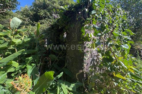 Helårsgrund i Lajes do Pico, Pico, Lajes do Pico - € 118.000 | Ref: 374250209 - foto 1