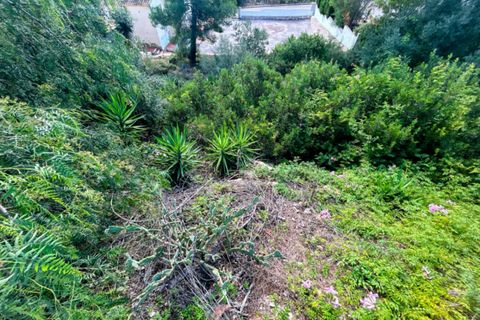 Helårsgrund i Jalon, Alicante, Jalon - € 99.000 | Ref: HO121525 - foto 4