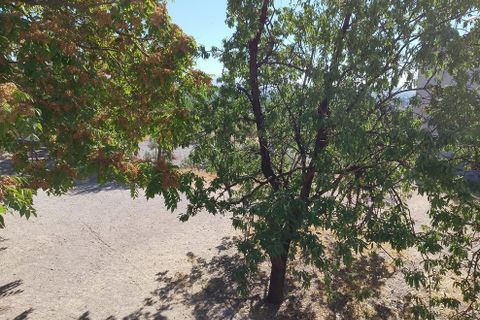 Landsbyhus i Baza, Granada, Baza - € 265.000 | Ref: v3102 - foto 32