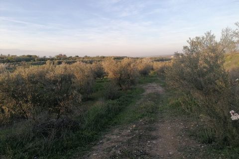Landejendom i Baza, Granada, Baza - € 155.000 | Ref: v3105 - foto 21