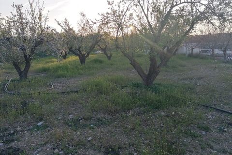 Landejendom i Baza, Granada, Baza - € 155.000 | Ref: v3105 - foto 22