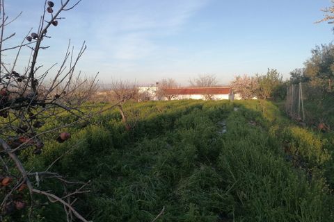 Landejendom i Baza, Granada, Baza - € 155.000 | Ref: v3105 - foto 23