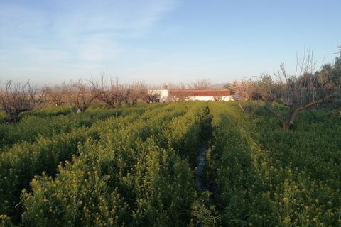 Landejendom i Baza, Granada, Baza - € 155.000 | Ref: v3105 - foto 24