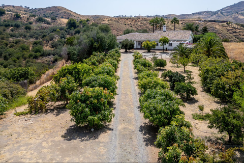 Villa a Mijas Costa, Malaga, Mijas Costa - € 999.000 | Ref: BLXR-1150A - foto 18