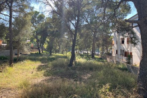 Terra a Santa Ponsa, Mallorca, Santa Ponsa - € 1.000.000 | Ref: 82192 - foto 4