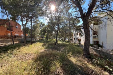 Terra a Santa Ponsa, Mallorca, Santa Ponsa - € 1.000.000 | Ref: 82192 - foto 5