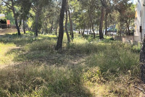 Terra a Santa Ponsa, Mallorca, Santa Ponsa - € 1.000.000 | Ref: 82192 - foto 6